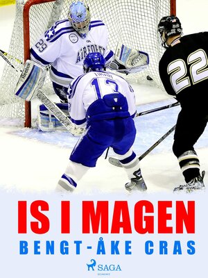 cover image of Is i magen